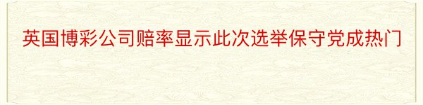 英国博彩公司赔率显示此次选举保守党成热门